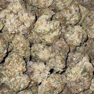 Meet your Posher, Rafael